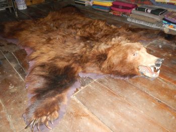 Grizzly Bear Rug - Image 2