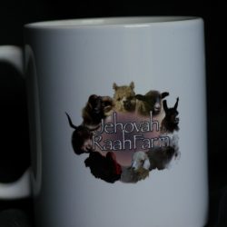 Jehovah Raah Farm Mug