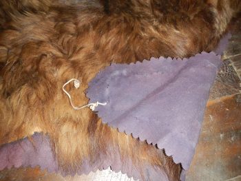 Grizzly Bear Rug - Image 4