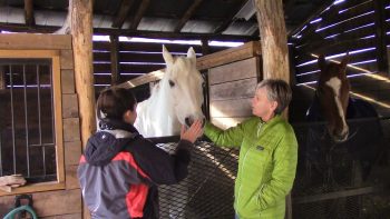 Tour the Farm - Image 6