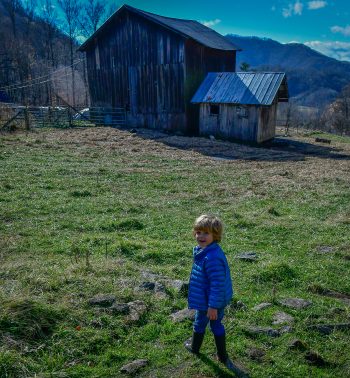 Tour the Farm - Image 5