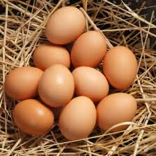 Farm Eggs