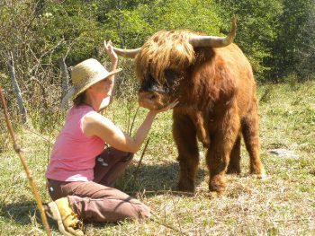 Tour the Farm - Image 2