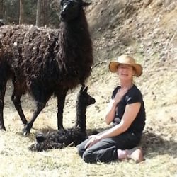 Tour the Farm