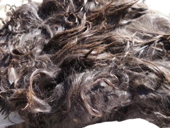 Suri Alpaca Fiber