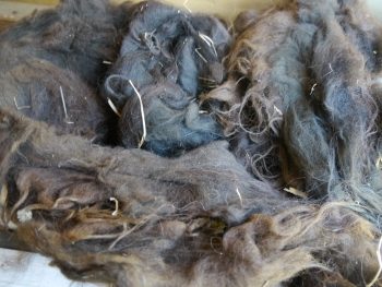 LLama Raw Fiber