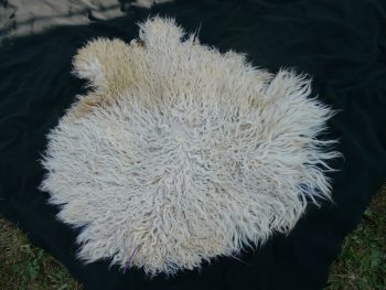Angora Goat Hide