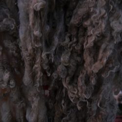 Angora Goat Mohair