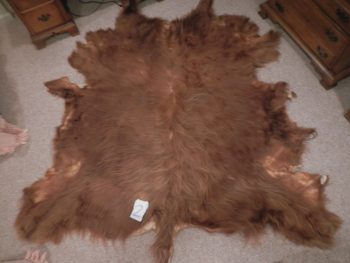 Scottish Highland Hides